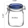 Bormioli Rocco 25.25 onzas transparente_3