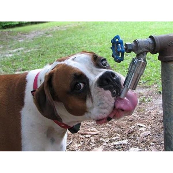 Lixit L100 Water Faucet Automatic Fountain for Dogs and