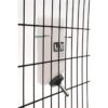 Lixit Botellas de agua para perros pequeños_5