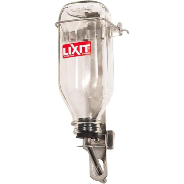 Lixit Botellas de agua de cristal de lujo resistentes para