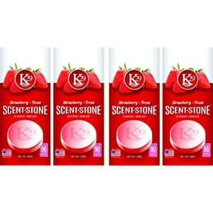 Ambientador Sterling Teal Fresa Strawberry_1