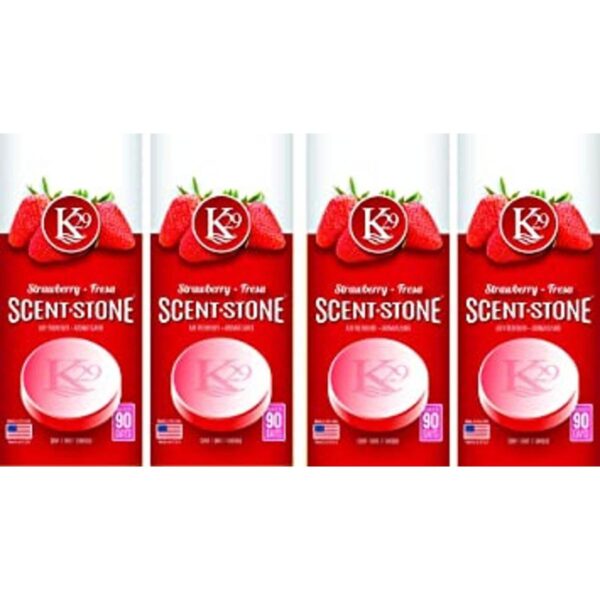 Ambientador Sterling Teal Fresa Strawberry_1
