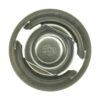 Stant Superstat Premium Thermostat acero inoxidable_2