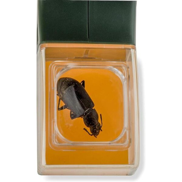 Carson BugView Dispositivo para atrapar insectos_4