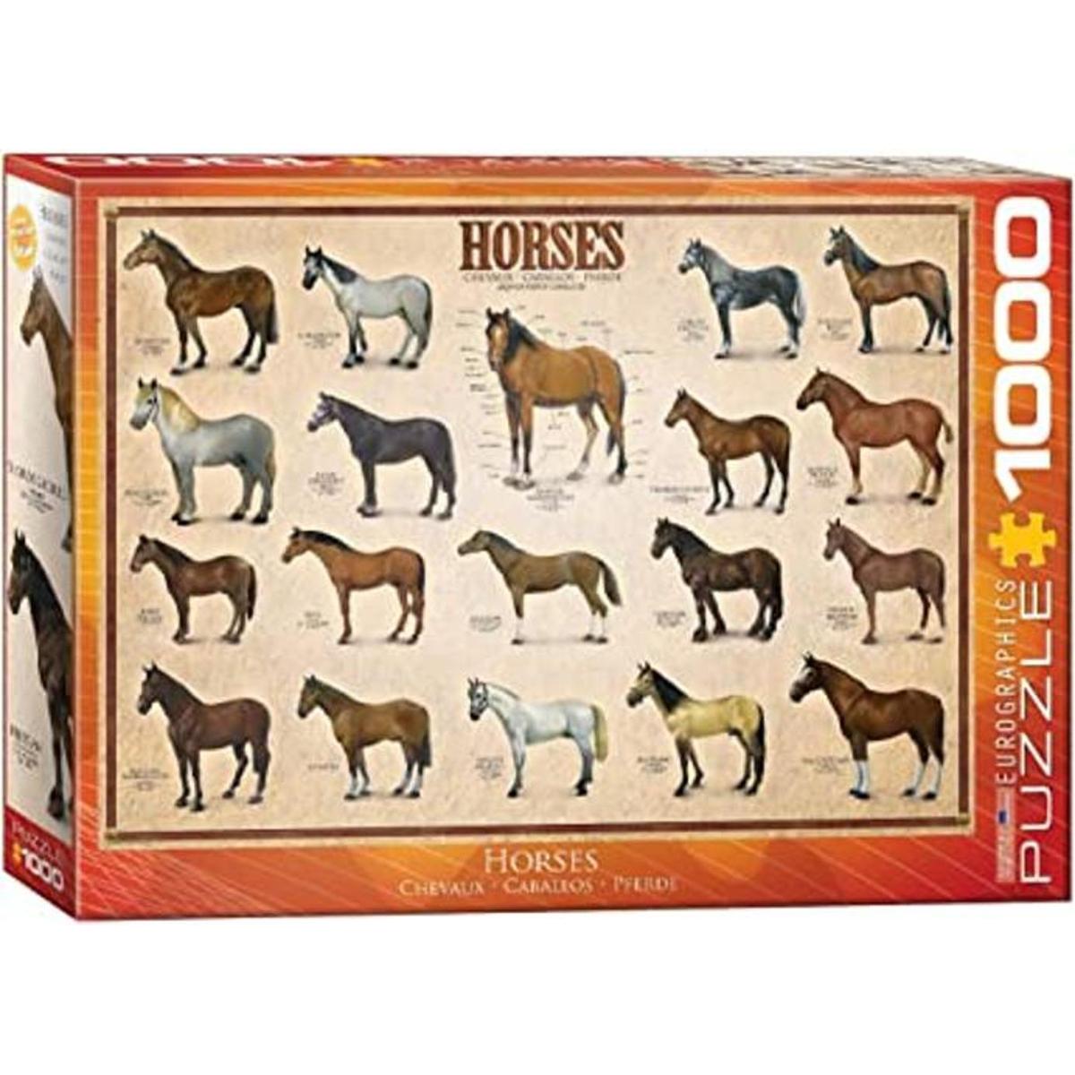 EuroGraphics Horses Puzzle de 1000 piezas