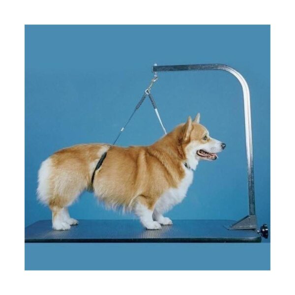 Pro Guard NoSit Haunch Holder Dog Grooming Restraint_2