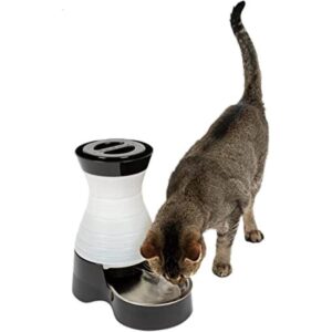PetSafe Healthy Pet Food Station or Water Station Gravity_1