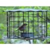 Erva Comedero Bluebird Incluye taza de gusano de