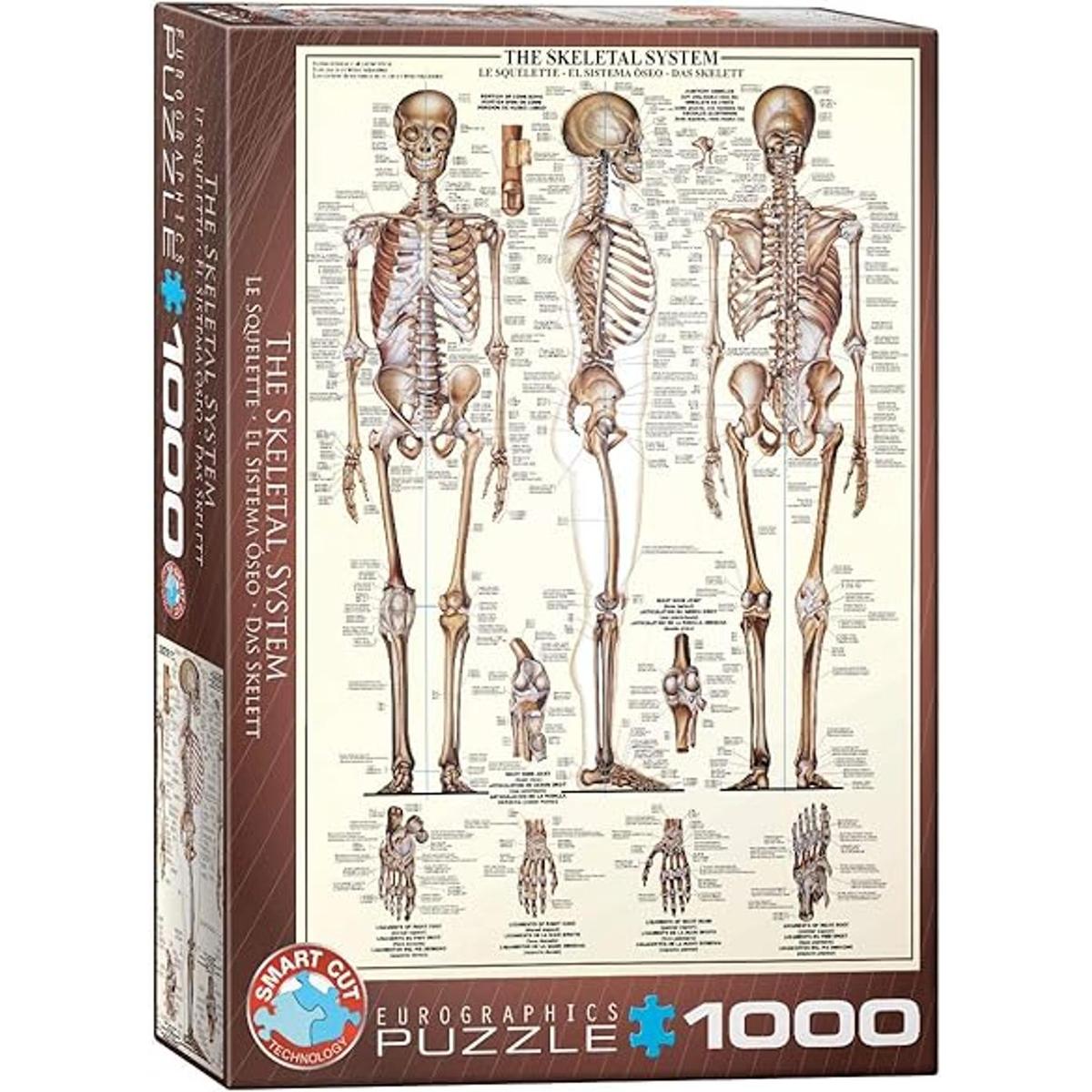 EuroGraphics Puzzle con sistema esquelético gráfico