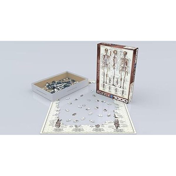 EuroGraphics Puzzle con sistema esquelético gráfico_3