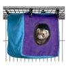MidWest Homes for Pets Ferret Nation Critter Nation_3