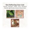 Saman sam801 1L 1Quart Dead Flat Clear Coat_3