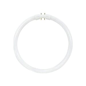 Satco S8162 3500K 2GX13 T5 Circline Lámpara de alto_1