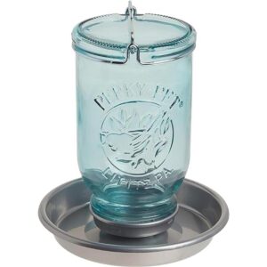 PerkyPet 1 tarro Mason Wild Bird Waterer 783 azul