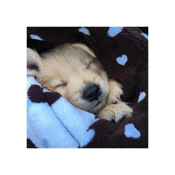 Manta para mascotas SmartPetLove Snuggle