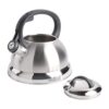 Hervidor de agua para té con silbido Mr. Coffee 91407.02