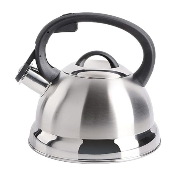 Hervidor de agua para té con silbido Mr. Coffee 91407.02