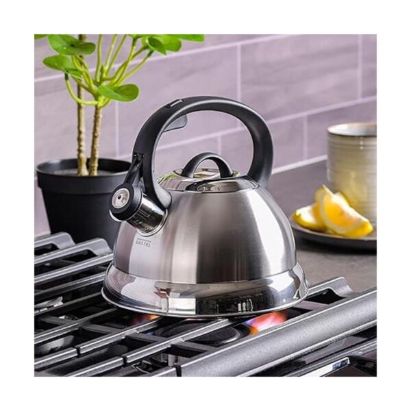 Hervidor de agua para té con silbido Mr. Coffee 91407.02