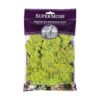 Musgo preservado SuperMoss Chartreuse_1