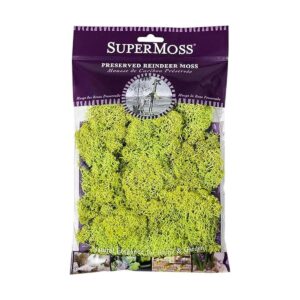 Musgo preservado SuperMoss Chartreuse_1