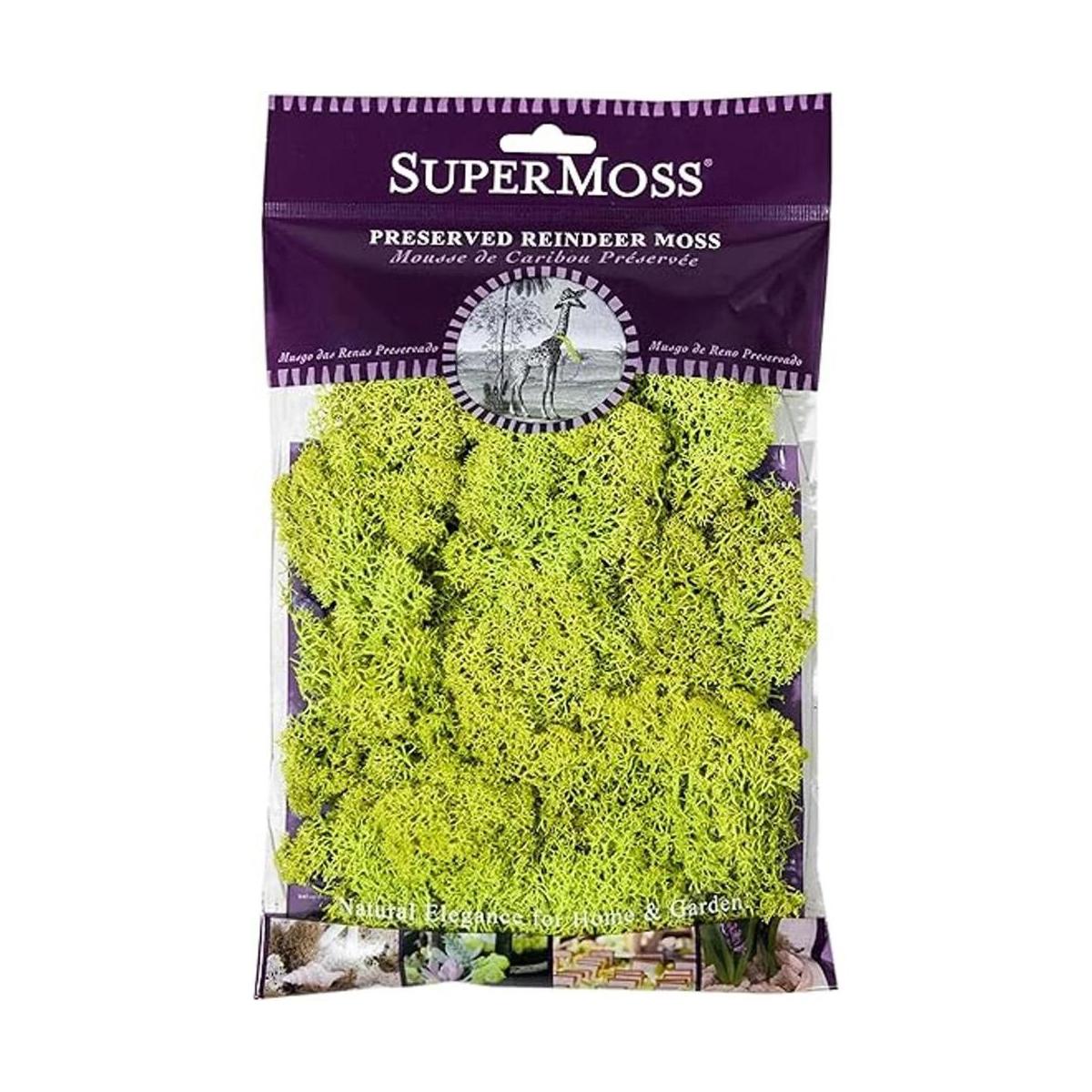 Musgo preservado SuperMoss Chartreuse