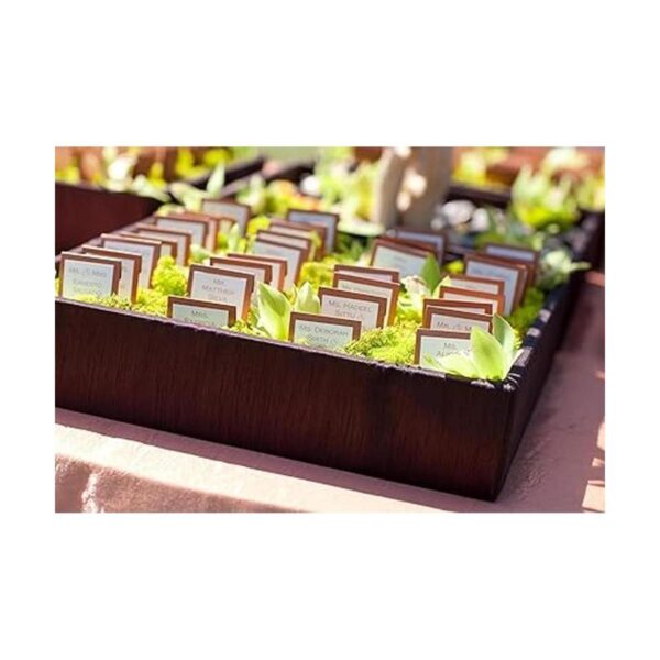 Musgo preservado SuperMoss Chartreuse_3
