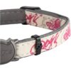 Rogz Glowcat Cat Collar with Safety Buckle_3