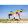 HQ Kites Symphony Beach III Cometa deportiva de doble_5