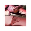 HQRP Linterna LED profesional portátil de 51 LED rojo_4