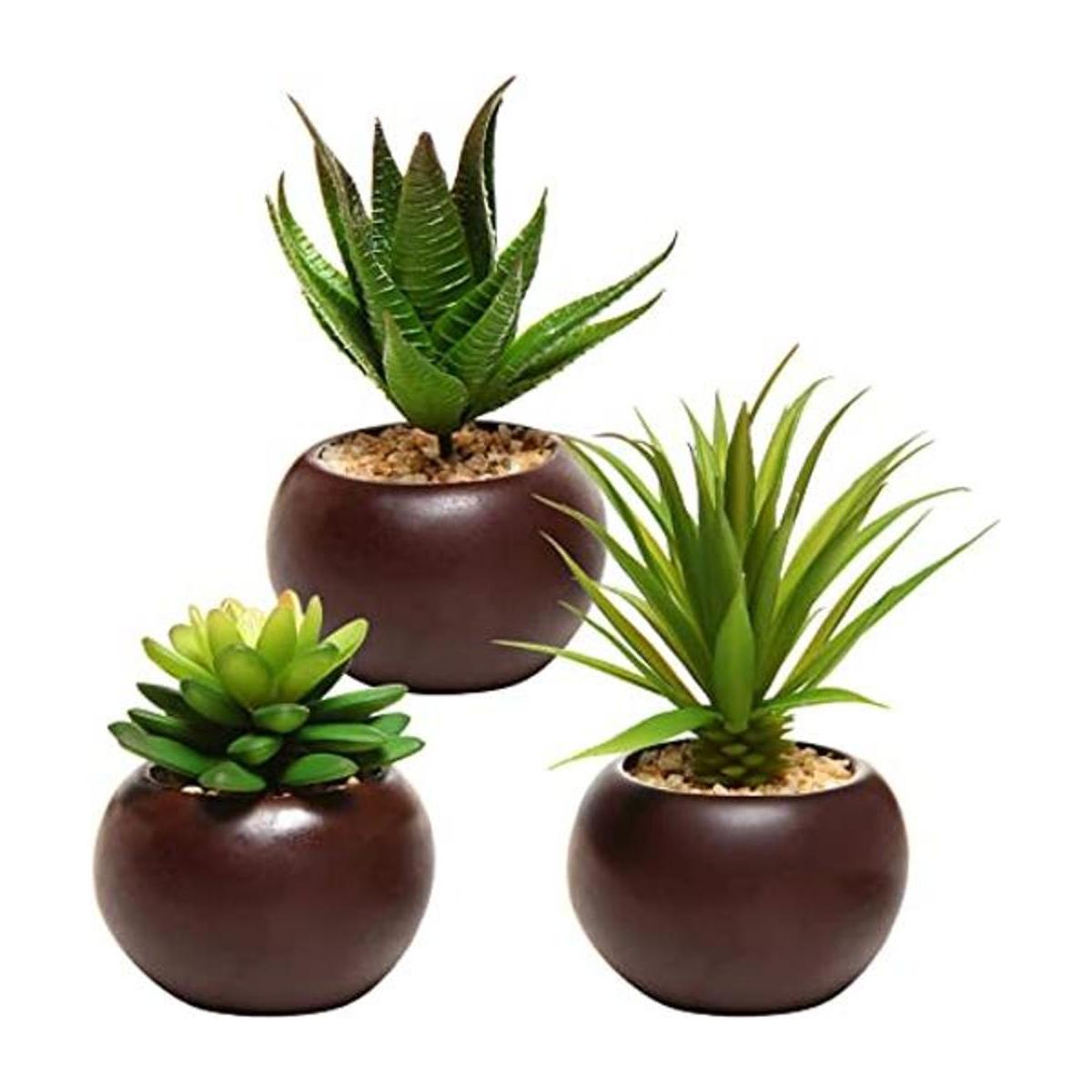 Mini plantas suculentas en maceta artificiales juego de 3