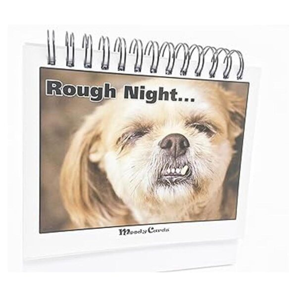 Regalo divertido de oficina tarjetas Doggy Moodycards_5