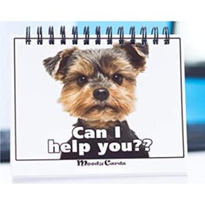 Regalo divertido de oficina tarjetas Doggy Moodycards_1