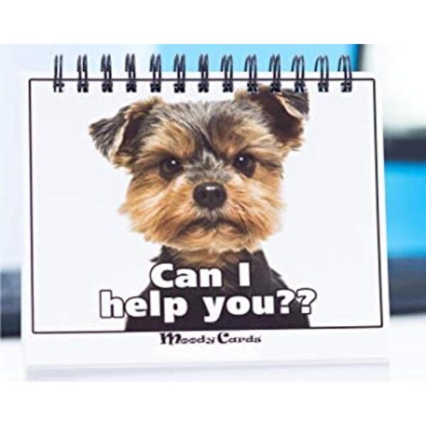 Regalo divertido de oficina tarjetas Doggy Moodycards_1