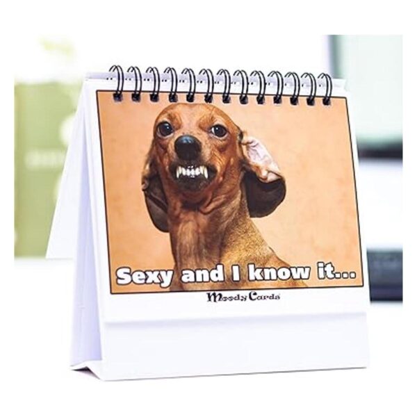 Regalo divertido de oficina tarjetas Doggy Moodycards_2