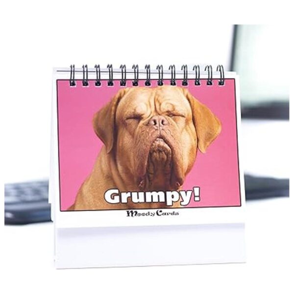 Regalo divertido de oficina tarjetas Doggy Moodycards_3