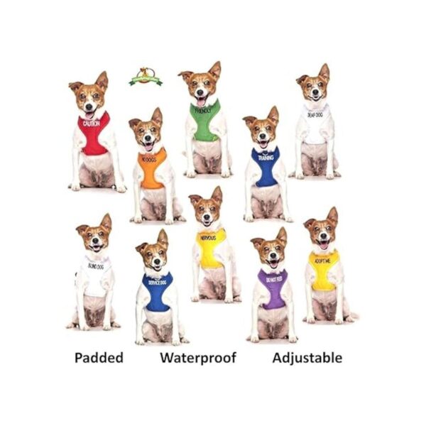 Correa para perro ciego con código de color blanco 2 4 6