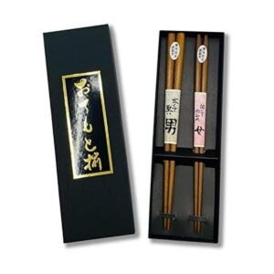 Japonés Tetsuboku Juego de 2 palillos de regalo para_1