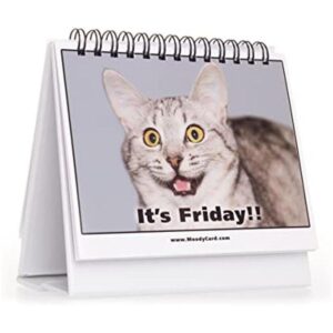 Regalo de oficina para los amantes de los gatos tarjetas_1