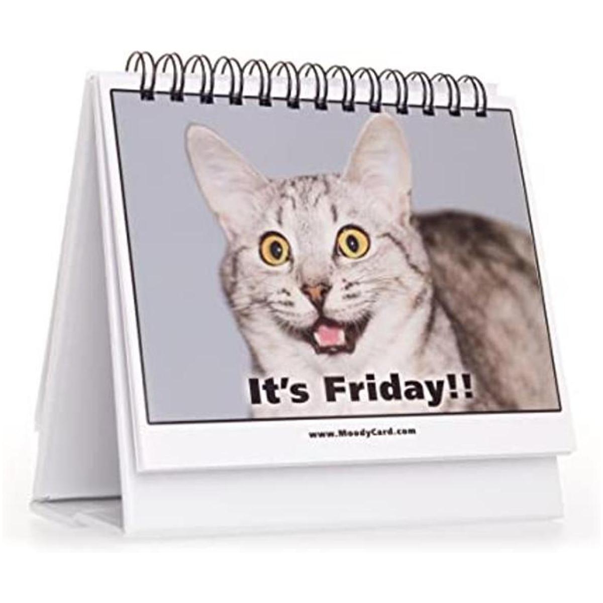 Regalo de oficina para los amantes de los gatos tarjetas
