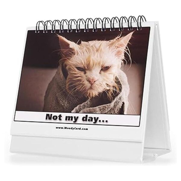 Regalo de oficina para los amantes de los gatos tarjetas_2