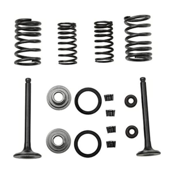 GOOFIT Kit de reconstrucción de válvulas de cilindro de_1