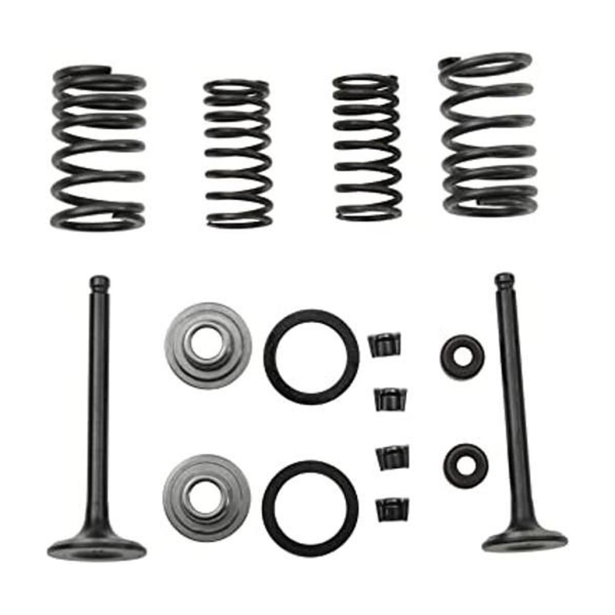 GOOFIT Kit de reconstrucción de válvulas de cilindro de