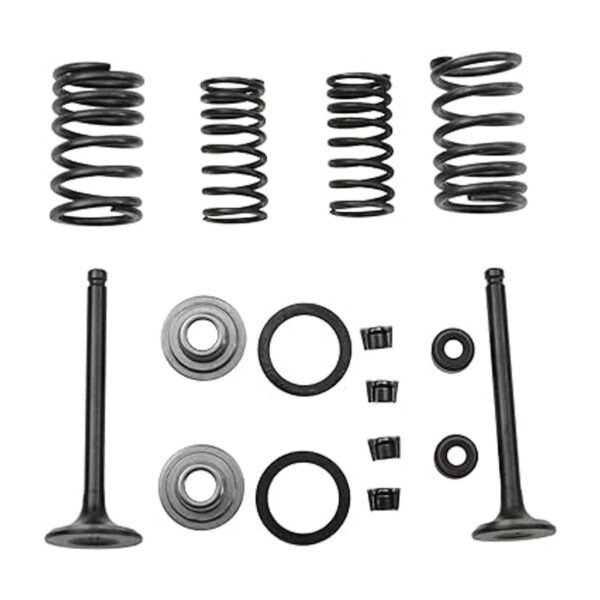 GOOFIT Kit de reconstrucción de válvulas de cilindro de_3