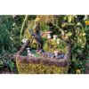 SuperMoss 50310 Kit de jardín de hadas musgos mixtos 4_3