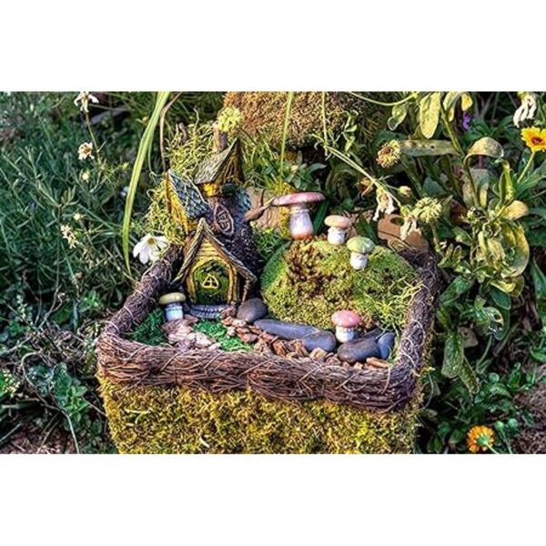 SuperMoss 50310 Kit de jardín de hadas musgos mixtos 4_3