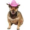 Rubies Suministros de fiesta de tiara rosa para perros_1