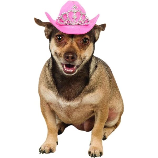 Rubies Suministros de fiesta de tiara rosa para perros_1
