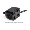 Lewisia 211 GPH Bomba de fuente sumergible con luz LED