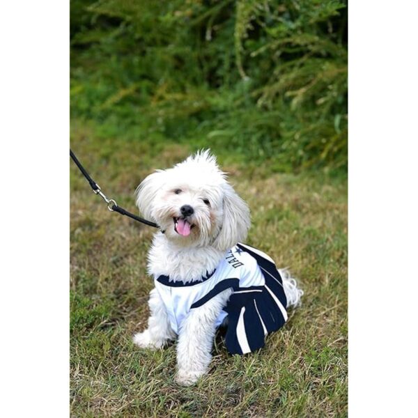 Traje de animadora de la NFL para perros y gatos._3