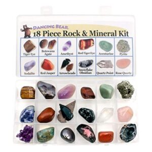 Colección educativa en caja de colección piedras y_1